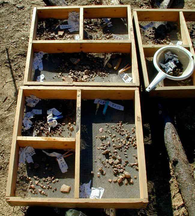 Excavation samples are drying in screen boxes