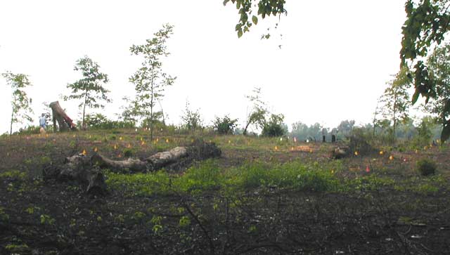 Looking southwest. After trees were cleared, the south excavation Block 1 was layed out based on results of previous testing and soil cores. (A large tree trunk lies against the bank at the highest point.)