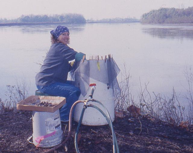 Trish Word processing a flotation sample using a fine mesh screen inside the water tank