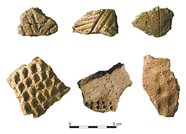 Examples of incised (Caborn-Welborn Decorated) and puncatated sherds (Parkin Punctate, Manly Punctate, and indeterminate type) from the North Block