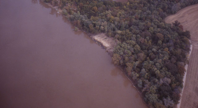 Bone Bank site, aerial view