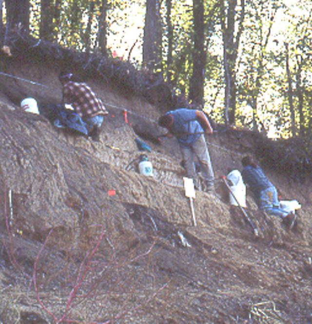 Rex Garniewicz, John Piper, and Staffan Peterson excavating