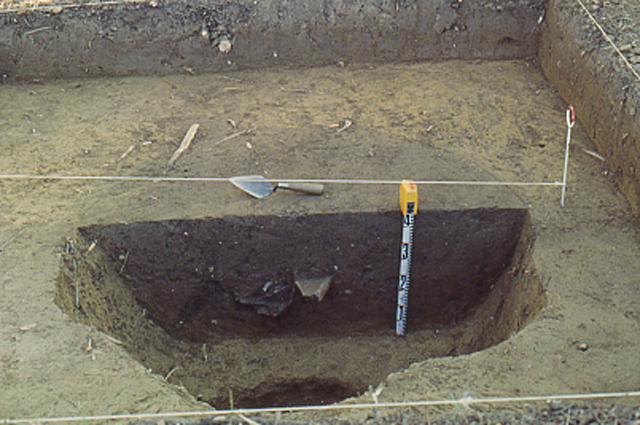 Excavation of Feature 5, in progress showing profile of deposits, terrace ridge crest