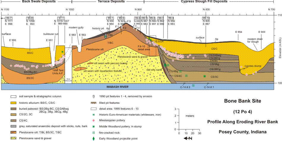 Profile of the natural and cultural deposits at Bone Bank