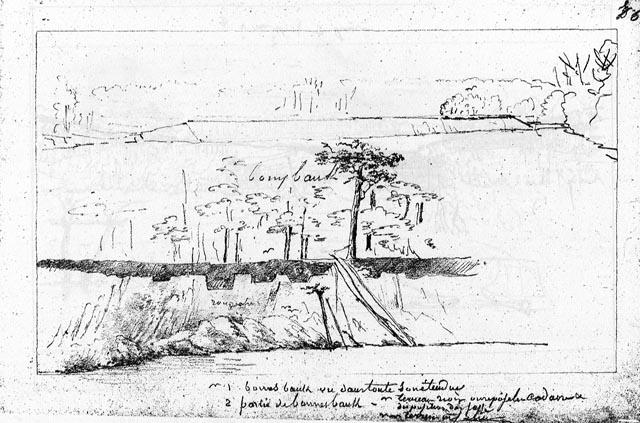 C.-A. Lesueur's 1828 drawing (number 41193)