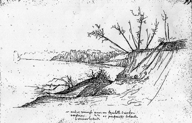 C.-A. Lesueur's drawing (number 41194)