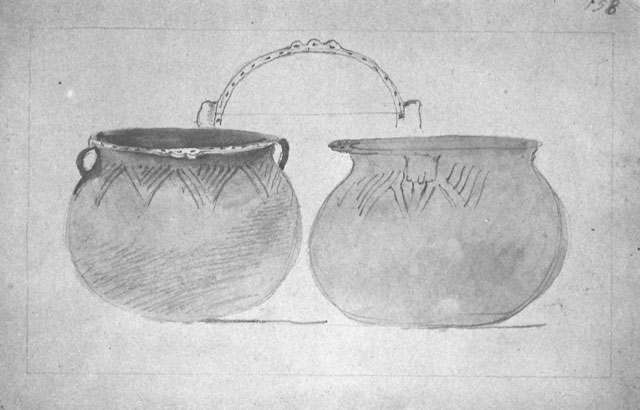 Lesueur's drawing (41207)