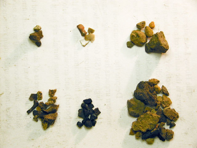 Daub, chert flakes, rock fragments, sherds, charcoal, and bone fragments.