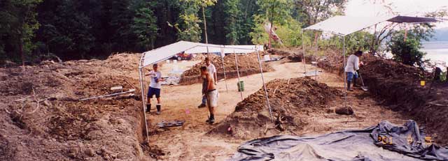 Four people under two shade canopies at dig site 
