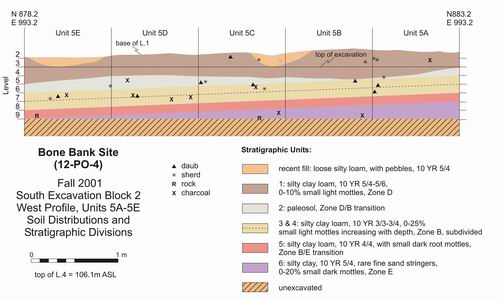 Diagram showing soil distributions and stratigraphic divisions