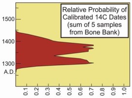 Graph showing Relative Probability of Calibrated 14C Dates (sum of 5 samples from Bone Bank)