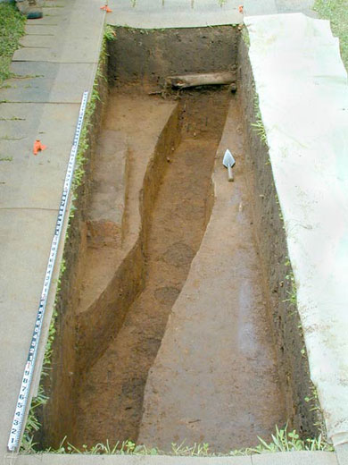Excavation of deep wall trench in Block 8. The postmolds were well defined and regularly spaced.