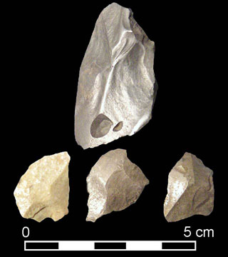 Polished hoe-resharpening flakes of various cherts