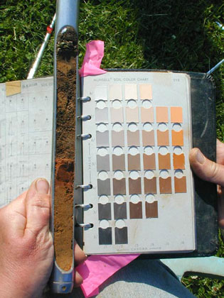 Checking soil colors using the Munsell chart. The red soil in the center is part of a hearth.