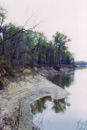 Bone Bank site river bank