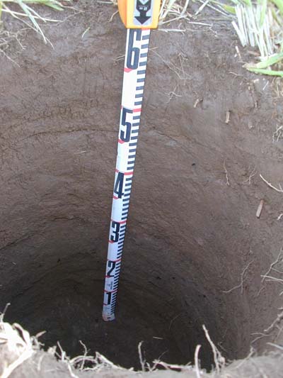 A buried A-Horizon lies beneath a dark, charcoal-flecked stratum, a higher, lighter cultural stratum, and then a 0.11 m-deep plow zone.