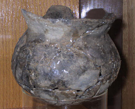 This jar was excavated at Prather site in the 1950s by Ace Soliday
