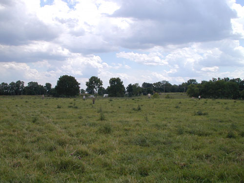 Overview of relief at the Prather site showing eroded mounds in the pasture.